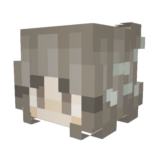 LeeKe_x Minecraft avatar head, 3D render