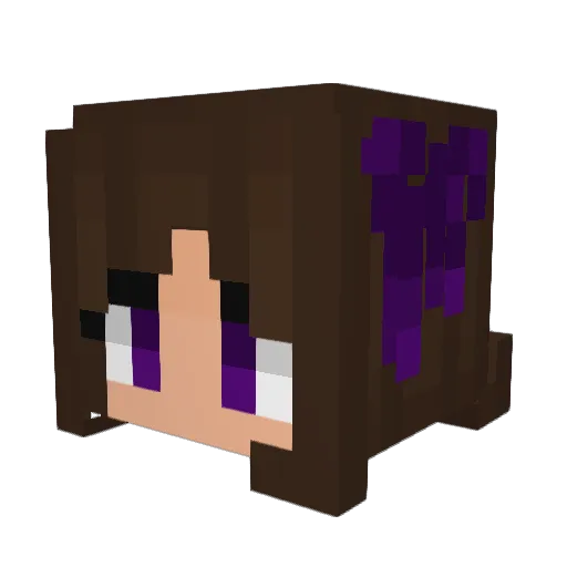 LeeLee1416 Minecraft avatar head, 3D render