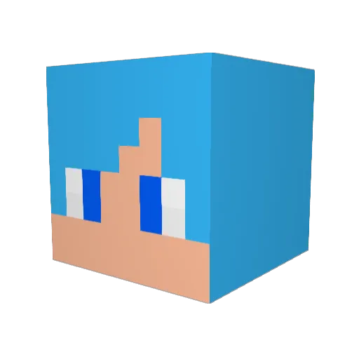 LeeLi_0306 Minecraft avatar head, 3D render