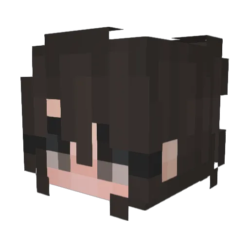LeeLuu_ Minecraft avatar head, 3D render