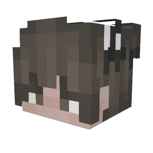 LeeMaid Minecraft avatar head, 3D render