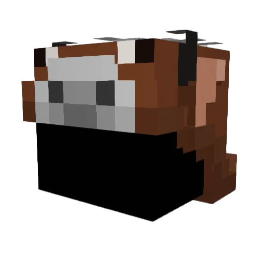 LeeOnami Minecraft avatar head, 3D render