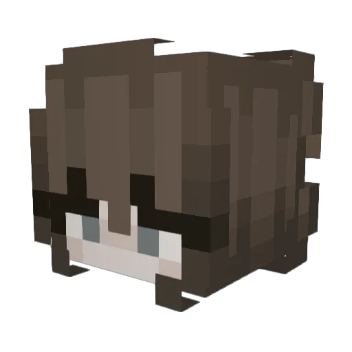 LeeQuiiQuii Minecraft avatar head, 3D render