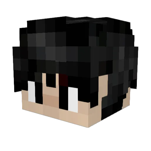 LeeSh625 Minecraft avatar head, 3D render