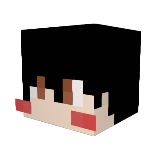 Lee_Hawn Minecraft avatar head, 3D render