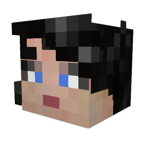 Lee_OzWitch Minecraft avatar head, 3D render