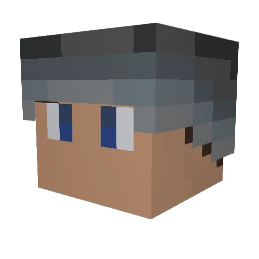Lee_wil Minecraft avatar head, 3D render