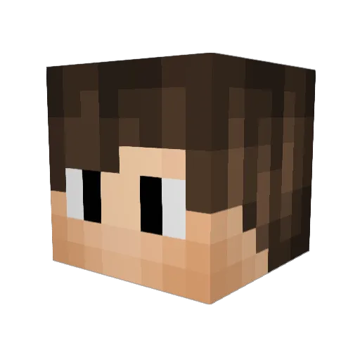 Leeccq Minecraft avatar head, 3D render