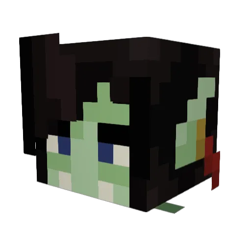 LeechesG Minecraft avatar head, 3D render