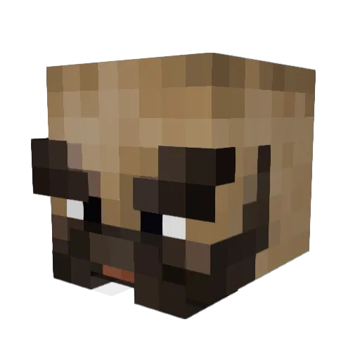 Leechy1999 Minecraft avatar head, 3D render