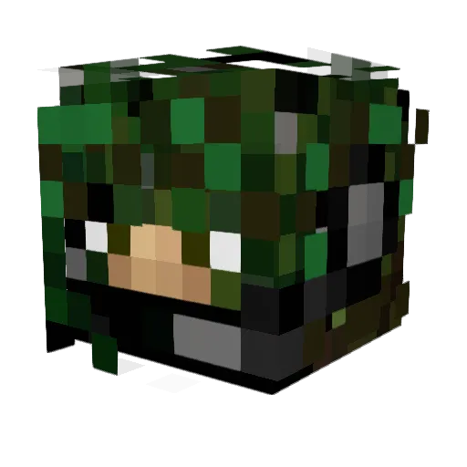 Leedle9000 Minecraft avatar head, 3D render