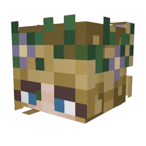 LeedleLee04 Minecraft avatar head, 3D render