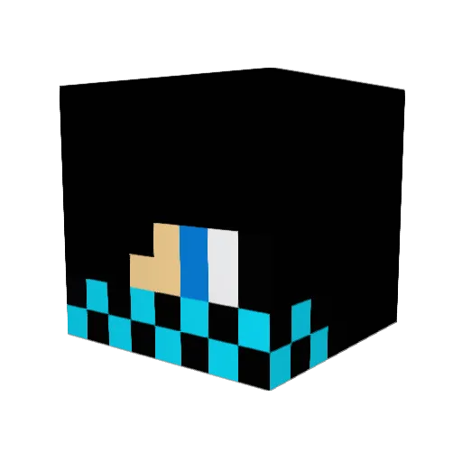 LeeeeeSinnnn Minecraft avatar head, 3D render
