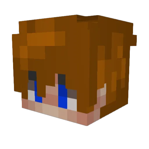 Leef05 Minecraft avatar head, 3D render