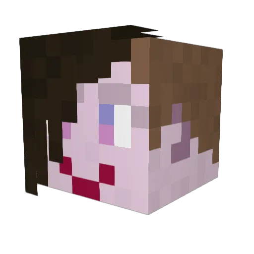 Leej8x Minecraft avatar head, 3D render
