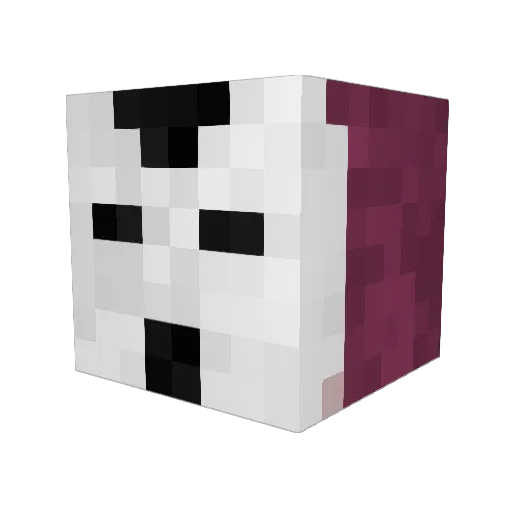 LeejangE Minecraft avatar head, 3D render