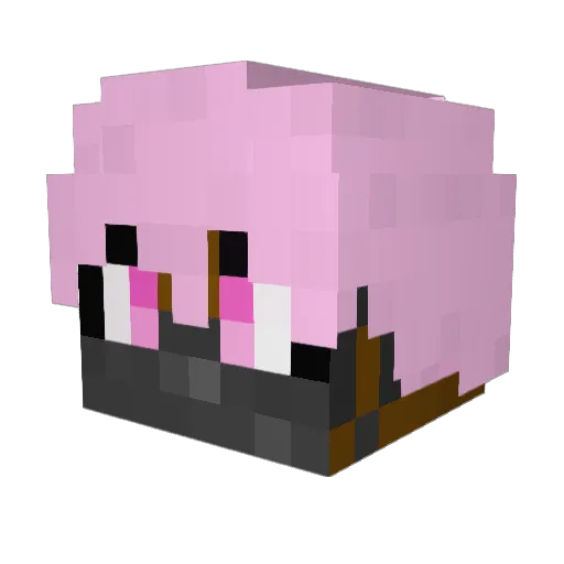 Leejoowon_06 Minecraft avatar head, 3D render