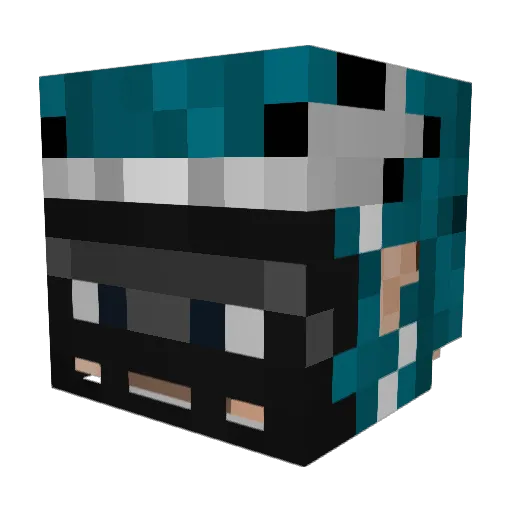 Leek1ddie Minecraft avatar head, 3D render