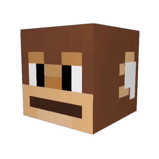LeekStarr Minecraft avatar head, 3D render