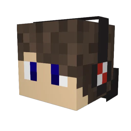 Leel98 Minecraft avatar head, 3D render
