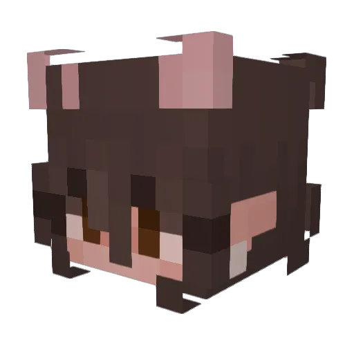 LeelaDee Minecraft avatar head, 3D render