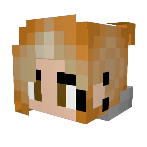 Leelee2010 Minecraft avatar head, 3D render