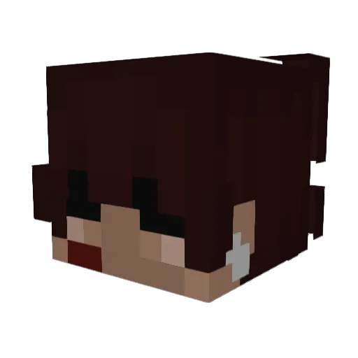 Leelep Minecraft avatar head, 3D render