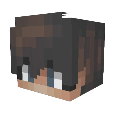 Leemon8 Minecraft avatar head, 3D render