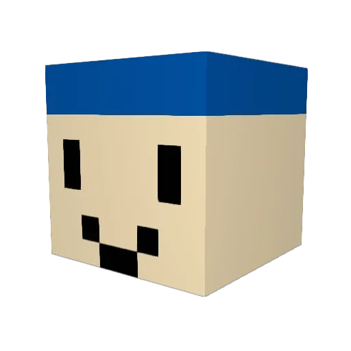 Leentie1234 Minecraft avatar head, 3D render