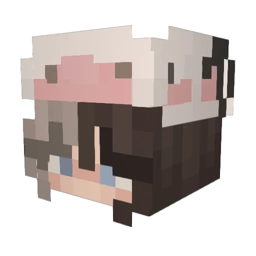Leentjeee Minecraft avatar head, 3D render