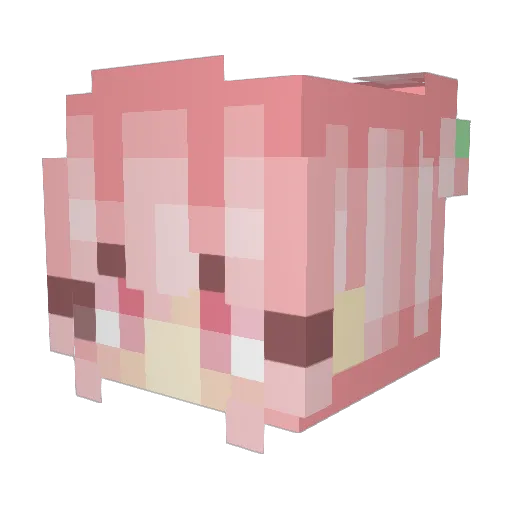 Leenx3 Minecraft avatar head, 3D render