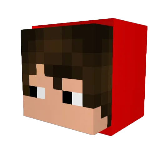 Leeptos Minecraft avatar head, 3D render