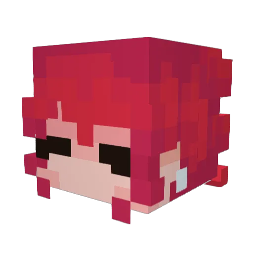 Leer96 Minecraft avatar head, 3D render