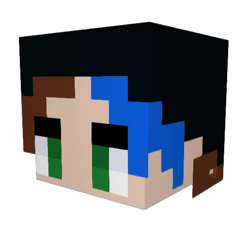 Leery3005 Minecraft avatar head, 3D render