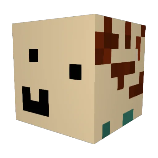 Leesaccount4 Minecraft avatar head, 3D render