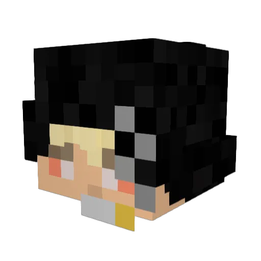 Leesamu Minecraft avatar head, 3D render