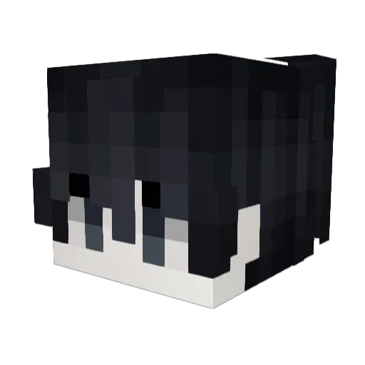 Leesea23 Minecraft avatar head, 3D render