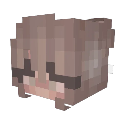 Leesie_98 Minecraft avatar head, 3D render