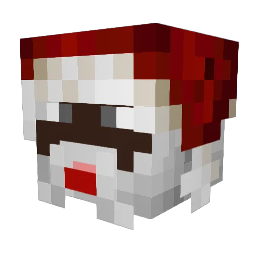 Leestan Minecraft avatar head, 3D render
