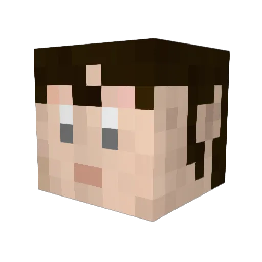Leester1 Minecraft avatar head, 3D render