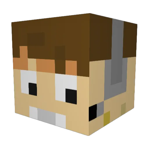 LeetOwner Minecraft avatar head, 3D render