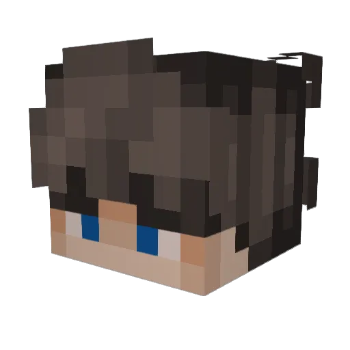 Leetcore Minecraft avatar head, 3D render