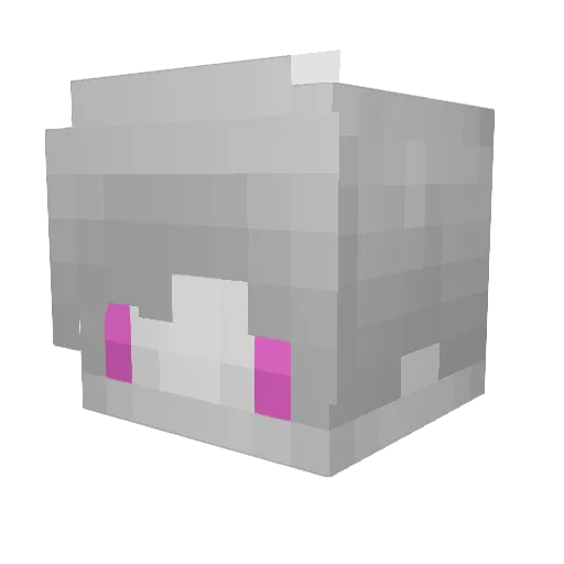 Leetooon Minecraft avatar head, 3D render