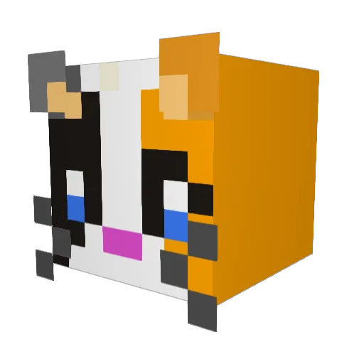 Leets Minecraft avatar head, 3D render