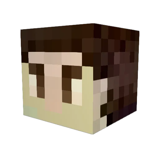 Leeuwcrafter Minecraft avatar head, 3D render