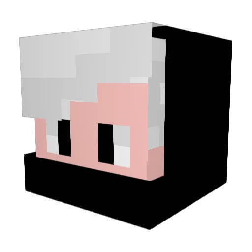 Leewi1 Minecraft avatar head, 3D render