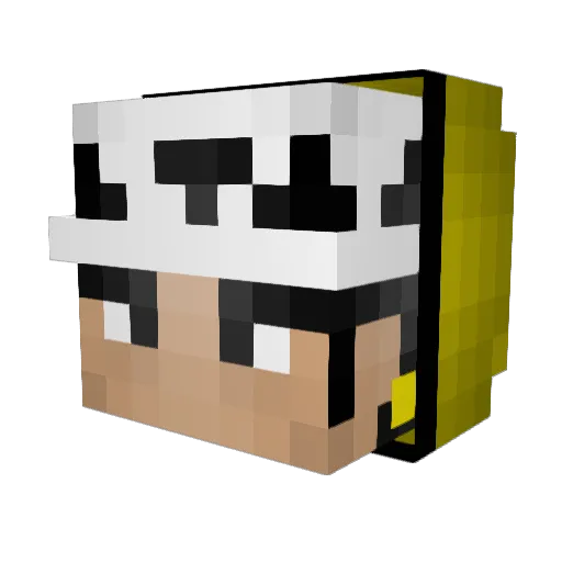 Lefae89 Minecraft avatar head, 3D render