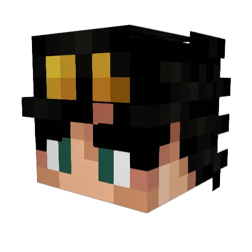 Lefir01 Minecraft avatar head, 3D render