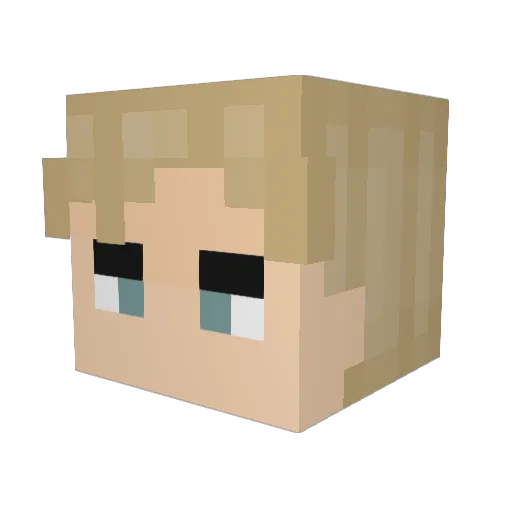 LeftToe22 Minecraft avatar head, 3D render
