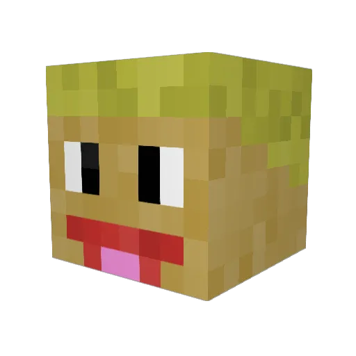 LeftTube Minecraft avatar head, 3D render
